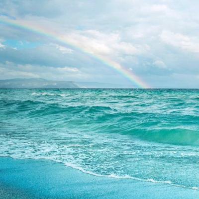 12.千圣机不易接吻，龙生而龙不追随-宋石崇贤《朝廷柏》