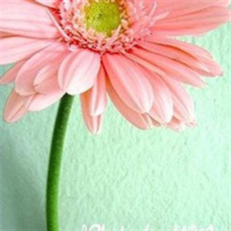 12.有一天每个人都必须长大，必须离开母亲。我真的希望这一天永远不会到来，但是我知道那是不可能的。