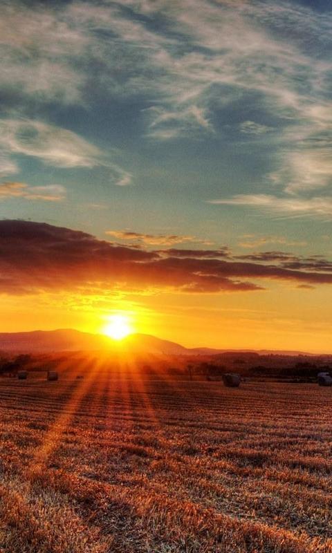10.迟到的热情被淡化了，稀释了池松的亲戚宋增恭的《送给欧阳扬少爷》