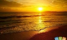 形容夜晚安静的句子