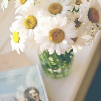 12.母爱同时伟大而悲伤。我们唱着母爱，但时光流逝。