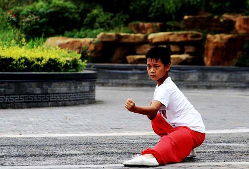 关于武术的名言1