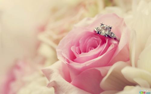 10.哄骗女友快乐:我不允许你从我身边逃脱。我最适合50米的时间是6或6秒。一个没有变态的女孩应该比我更好。