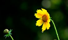 有关珍惜亲情的短句子