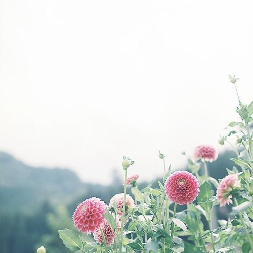 11.家人的感情是吐出的丝，而线不断生根。无论道路多么坎bump，无论道路多么艰难，它总是在你身边。家庭感情将永远持续下去。