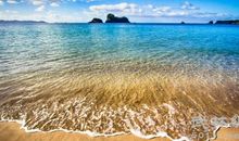 有关亲情之路的句子