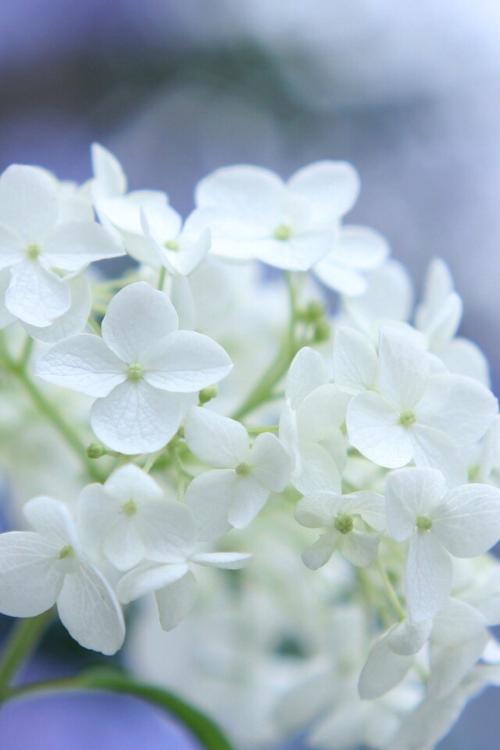 10.在漫长的历史长河中,有一颗恒久闪烁的星星,那就是家人的感情。