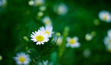 形容聊的开心的句子