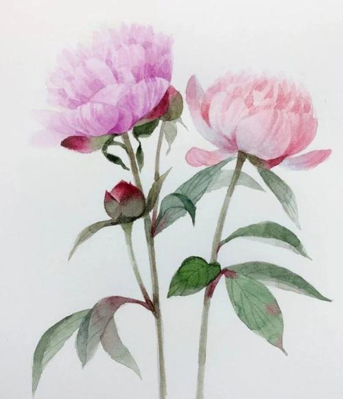 10.面对赞美和奉承,亲情就像一颗锥子,刺穿您的空虚梦想,然后不断进步。这是一个警告;