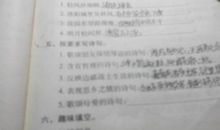 形容母爱的句子