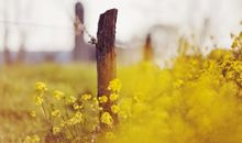 亲情给了我勇气优美句子