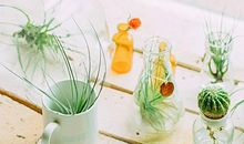 形容六亲情疏的句子