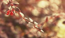 感慨亲情人生的经典句子