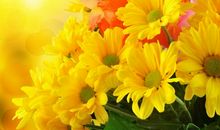 熬过去就是开心的句子