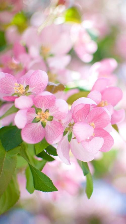 10.家庭感情是孩子的肯定表情，恭敬的语言和一份小礼物。