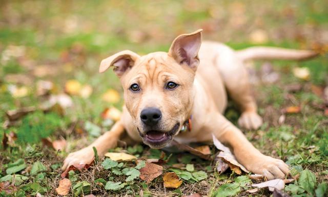 漂亮的句子描述恐惧2