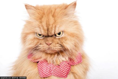 11.“浪漫”是一件漂亮的晚礼服，但你不能整天穿着它。