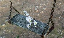 关于环境写亲情的句子大全