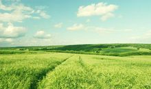 我开心你就陪我开心的句子