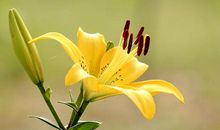 亲情之间的金典句子