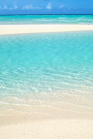 10.家庭感情是一串钥匙挂在脖子之间，打开忧郁的门窗。