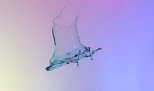 玩大冒险开心的句子