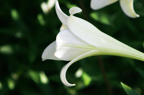 12.什么是家庭感情?明亮的眼睛引导我们前进;