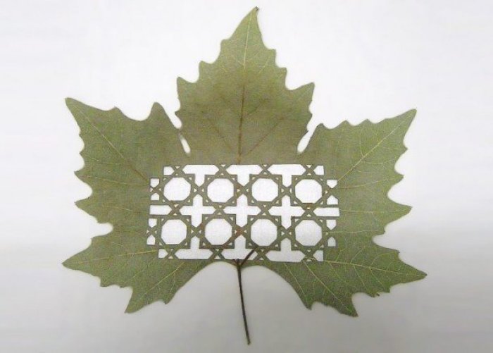 描述叶子的句子1