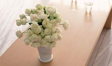 逗女人开心的句子