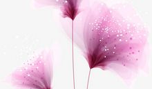 描写亲情体现的句子