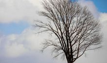 表达阳光开心的句子