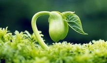 珍爱生命的句子