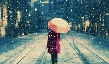 重金钱轻亲情的句子