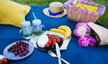 春天春游开心的句子