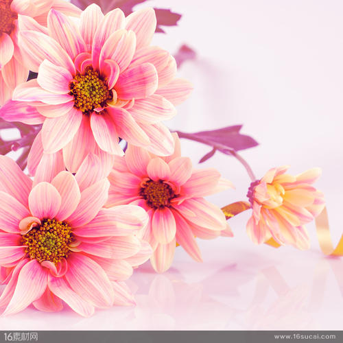 11.家是每个人都可以依靠的地方。家是每个孩子成长的摇篮，也是每个孩子生活的港口。