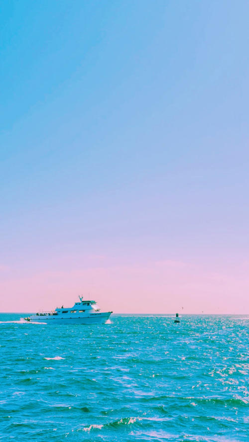 11.女孩年轻时的挣扎不是要嫁给一个好人，而是要找到一份好工作。他们拥有永不饿死的技能，并且收入丰厚。因为：只有在财务上独立时，您才能说出自己的话，然后您才能独立于灵魂，才有资本选择自己的伴侣和生活。