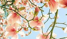 怎么哄人开心的句子