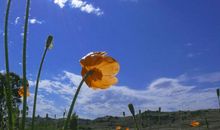 开开心心正能量的句子