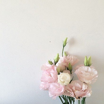 10.进入社会后，我才明白一个道理，我无法与父亲抗争，无法与母亲抗争。只能打很多。