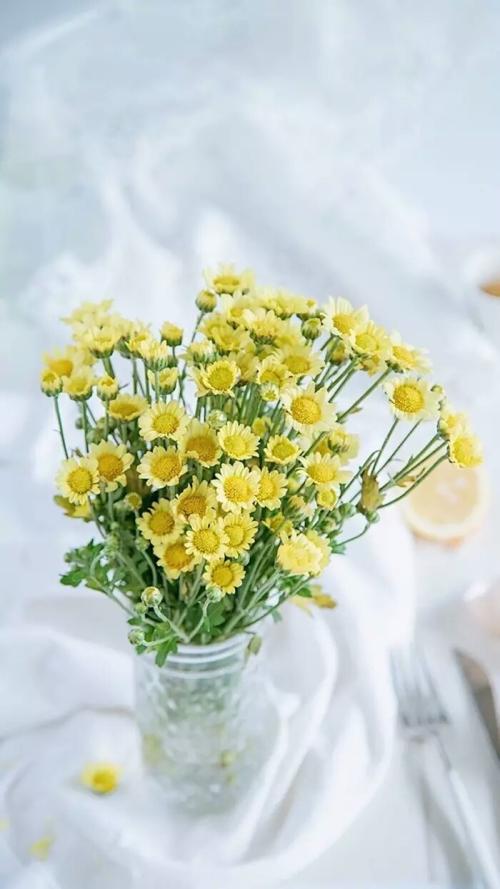 10.再见〜2020年你好〜2019年只剩最后一个月〜愿你的辛勤工作得到回报〜祝你健康快乐生活〜一切顺利〜周末愉快。