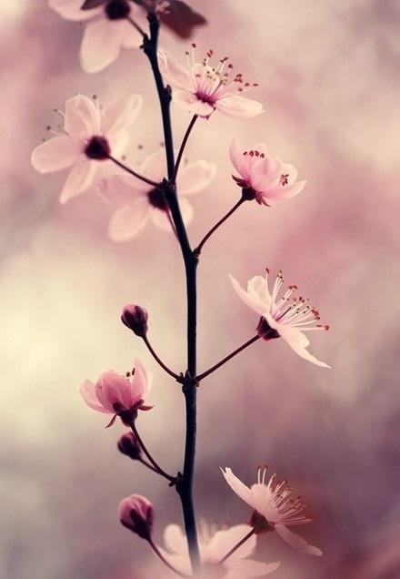 12.我一定要瘦弱,富有和快乐