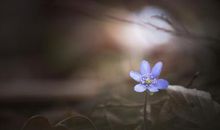 工作不开心的句子