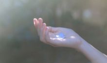 森系干净短句 小清新森系唯美的句子