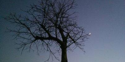 非主流美学QQ签名