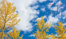 从未真正开心过的句子 从来没有开心的笑过说说