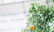 凡是想开心的句子 想开心的句子有哪些