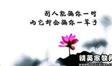 人生哲理名言大全