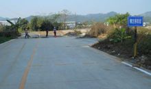 元旦短信送领导