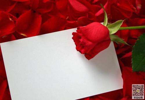 情人节温馨祝福短信