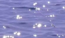 女人独立励志霸气的句子